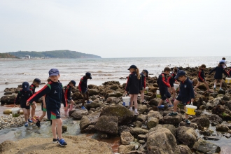 Rockpooling