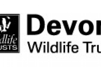 DWT logo