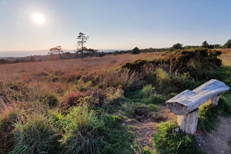 Ideford Common