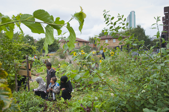 Community garden allotment