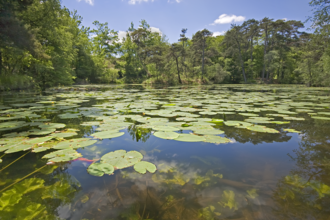 Bystock Pools