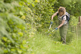 Bramble cutting