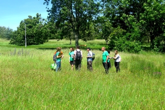 Citizen Science Survey