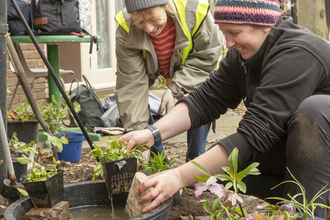 Community planting