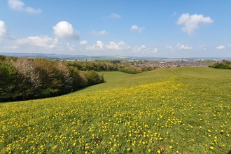 Ludwell Valley Park