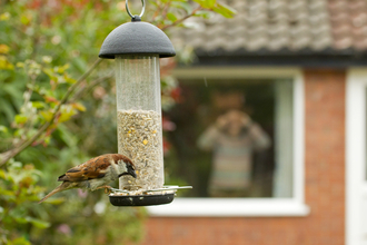 Bird feeder - Ben Hall/2020VISION