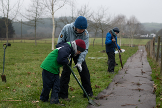 Tree planting