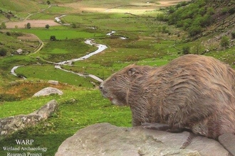 Book cover of welsh countryside and beaver in foreground