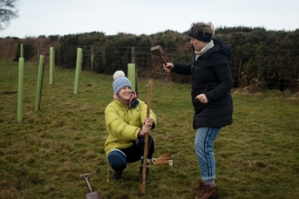 two women planting tree