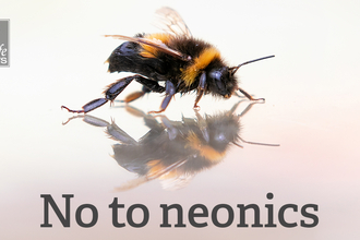 Bumblebee and its reflection with the words 'no to neonics'