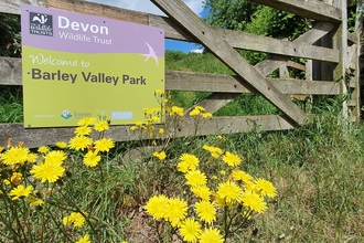 Barley Valley Park sign with dandelions in front