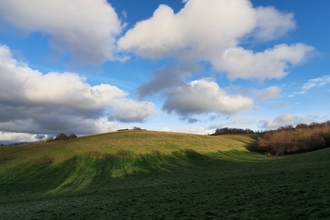 Ludwell Valley Park 'Cuckoo Field'