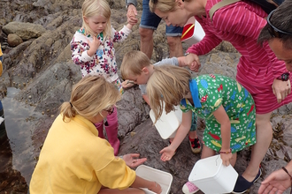 Family rockpooling at Wembury beach