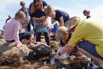 Volunteer leading a group on a rockpool safari