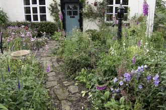 wildlife friendly gardening