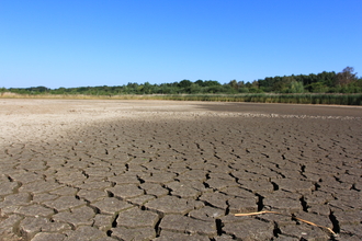 Shallow pond area dried up with mud cracks showing