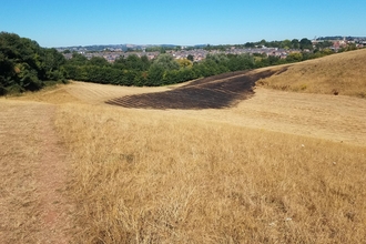 ludwell valley park fire damage
