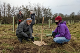 People planting trees and fixing mulch matt to ground