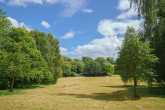 Sunny field, surrounded by tree's taken at Northbrook Park