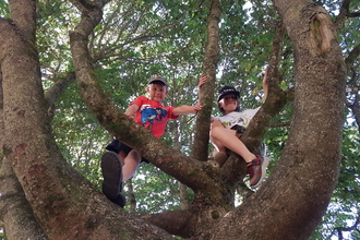 2 children up a tree