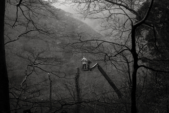 Person felling a tree among trees with bare branches (black and white)