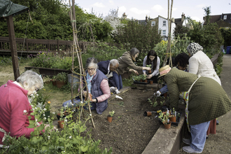 A group of people of varying ages and ethnicities gardening in a raised bed in an urban environment