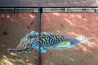Photo of a brick wall with a mural of a colourful cuttlefish across it 