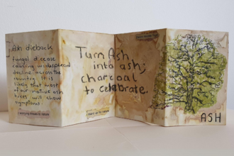 Paper image of a green hand drawn ash tree and some handwritten poetry