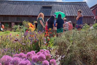 Picture of families in the garden at Crickelpit in the sunshine with wild flowers blooming in the garden