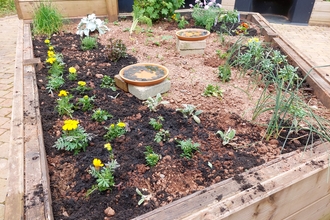 Flower bed