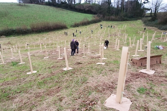 Tree planting