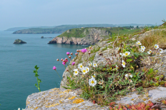 Photo of Berry Head