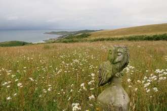 An owl statue nestled in a field blooming with white flowers and the coastline in the background