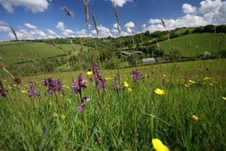 Deer Park Farm hay meadows