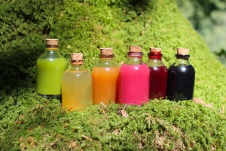 little bottles of coloured ink in a gradient say on a bossy tree trunk