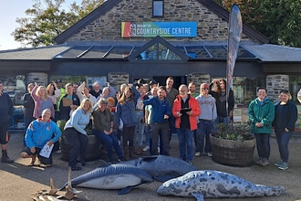 Marine strandings volunteer training day at North Devon