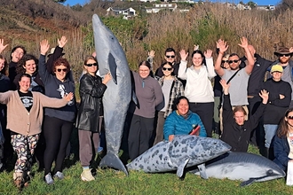 Photo of marine strandings volunteer training day