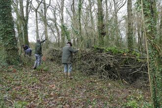 team of volunteers adding to a dead hedge