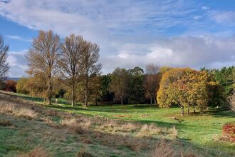 the hill and trees of a sunny central city park