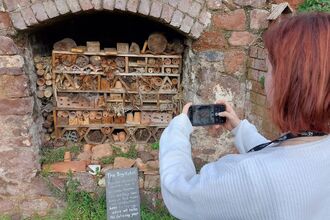 Person taking a photo of a bug hotel