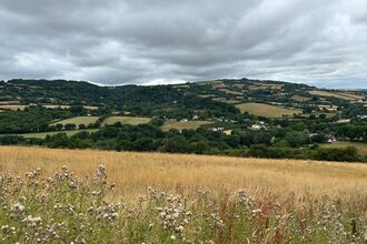 A Nice Landscape View Of Woodah In July