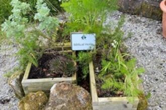 Herb Garden of drought-loving plants at St Michaels Church