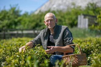 John Walters squatting in the tea plantation with a basket to hold his harvest