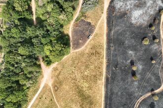 aerial shot of Mincinglake Valley Park, this hills blackened with ash and the line of footpaths carving through, with the houses close to the boundaries