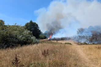 fields of burnt grassland with plumes of smoke rising