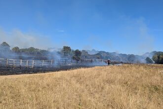 fields of burnt grassland with smoke rising, a firefighter trying to put it out