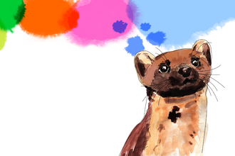 Graphic of a pine marten surrounded by coloured blobs