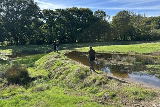 pond in field