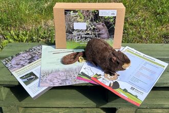 Beaver pack