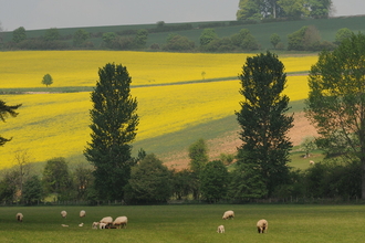 Zsuzsanna Bird farmed landscape